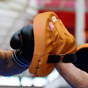 Focus Mitts