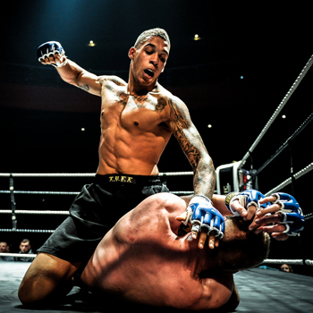MMA Gloves